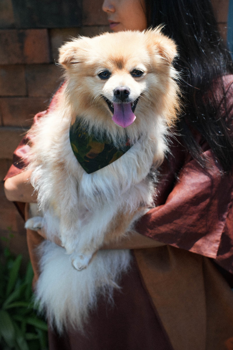 Midnight Peony Doggy Bandana