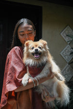 Scarlet Doggy Bandana