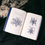 Memory on Hands Miao Book