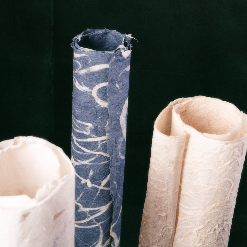 Handmade Flower + Grass Huacao Paper ~ by Wang Xingwu