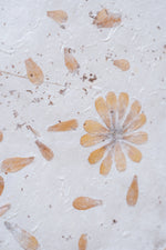 Handmade Flower + Grass Huacao Paper ~ by Wang Xingwu